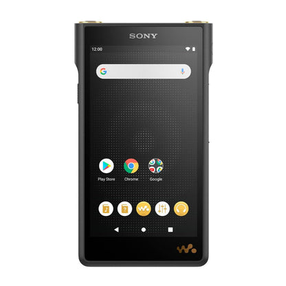 Sony NW-WM1AM2 Walkman - High-Resolution Audio Player