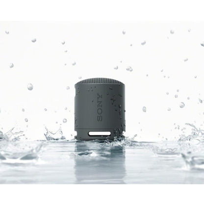 Sony SRS-XB100 – Compact Portable Bluetooth Speaker