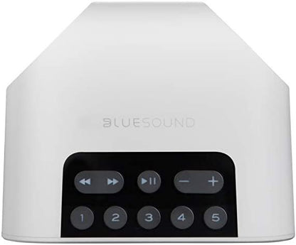 Bluesound Pulse Flex 2i Portable Wireless Streaming Speaker (Black, Speaker Only)