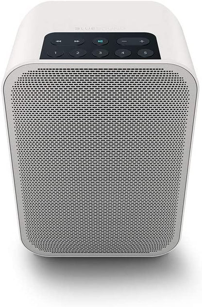 Bluesound Pulse Flex 2i Portable Wireless Streaming Speaker (Black, Speaker Only)